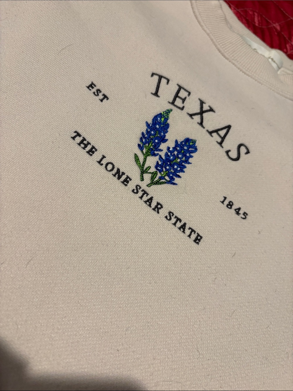 Texas Bluebonnet Graphic Sweatshirt - Light Pink
